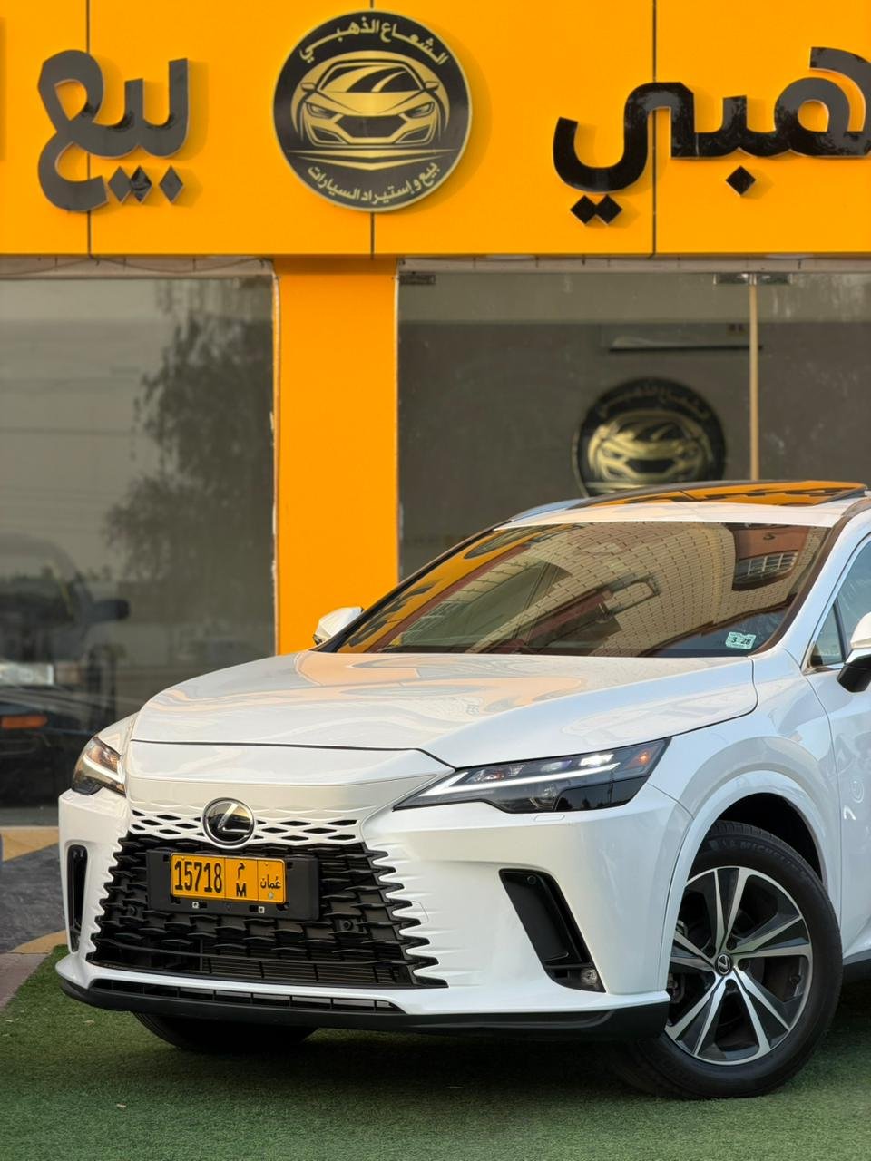 2023 Lexus RX, 350 Base 8