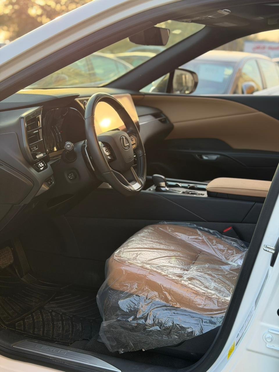 2023 Lexus RX, 350 Base 13
